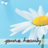 Flowers avatars