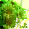 Flowers avatars