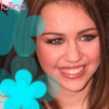 Flowers avatars