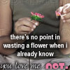 Flowers avatars