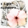 Flowers avatars