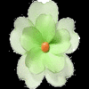 Flowers avatars