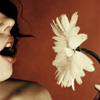 Flowers avatars