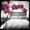 Flowers avatars