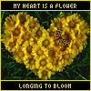 Flowers avatars