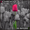 Flowers avatars