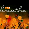 Flowers avatars