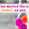 Flowers avatars