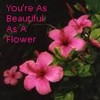 Flowers avatars