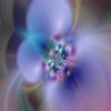 Flowers avatars