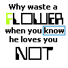 Flowers avatars