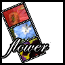 Flowers avatars