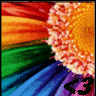 Flowers avatars