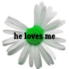 Flowers avatars