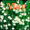 Flowers avatars