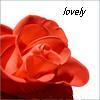 Flowers avatars