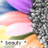 Flowers avatars