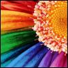 Flowers avatars