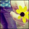 Flowers avatars