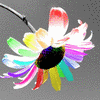 Flowers avatars