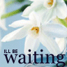 Flowers avatars