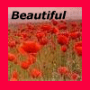 Flowers avatars