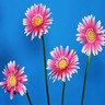 Flowers avatars