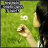 Flowers avatars