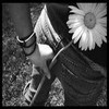 Flowers avatars