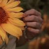 Flowers avatars