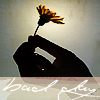 Flowers avatars