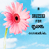 Flowers avatars