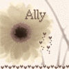 Flowers avatars