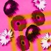 Flowers avatars