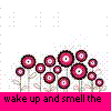 Flowers avatars