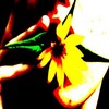 Flowers avatars