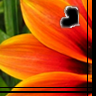 Flowers avatars