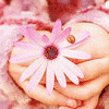 Flowers avatars