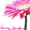 Flowers avatars