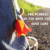 Flowers avatars