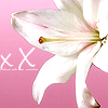 Flowers avatars
