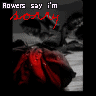 Flowers avatars