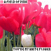 Flowers avatars