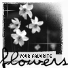 Flowers avatars