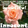 Flowers avatars