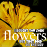Flowers avatars