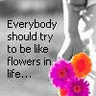 Flowers avatars