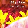 Flowers avatars