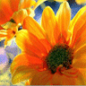 Flowers avatars