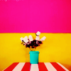 Flowers avatars